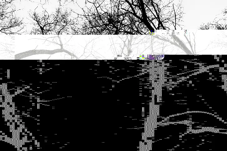 Beautiful Broken: Why Artists Are Weaponizing Digital Decay